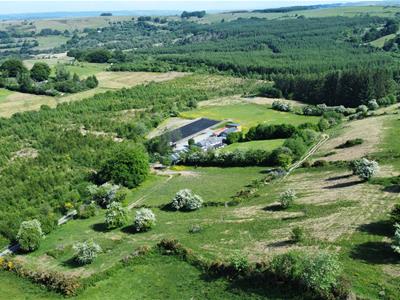 THE LAND